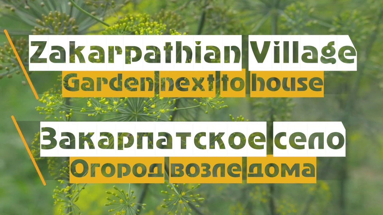 Закарпатское село – Огород возле дома!